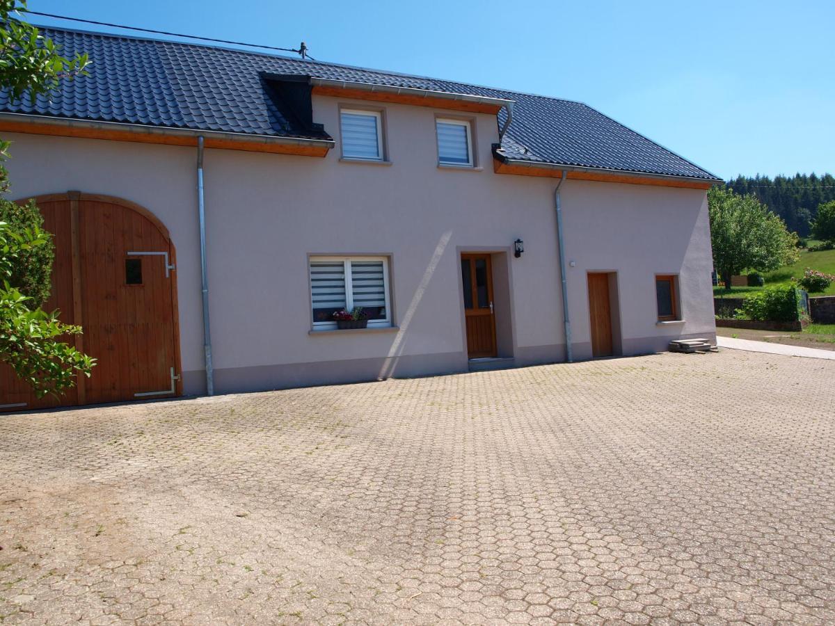 Haus Schritte Villa Hinterweiler Luaran gambar